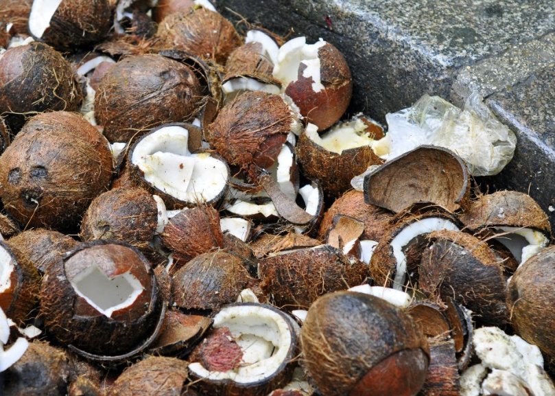 309759_10150294023630690_873708_n