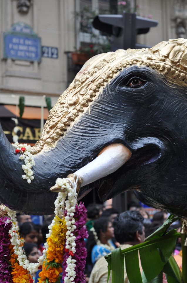 312512_10150294024635690_3348294_n